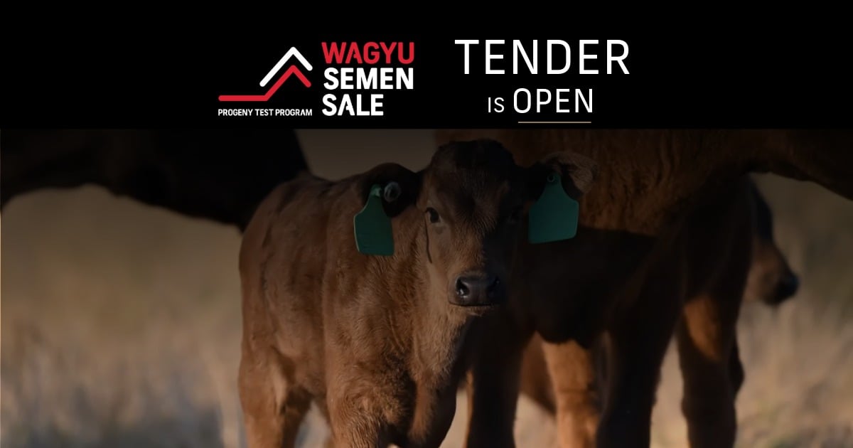 2026 PTP Semen Sale Tender 