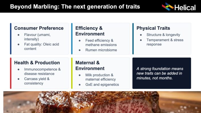 Next generation of Wagyu Traits