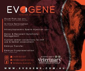Advertisement 4 advertising_section_section__4