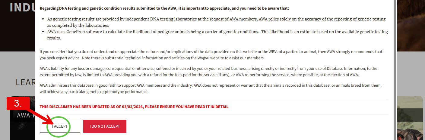 Terms and Conditions