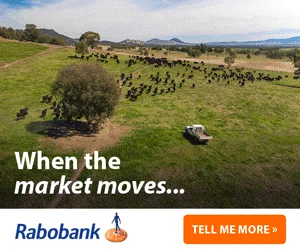 Advertisement 0 advertising_section_section__1