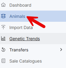 Animals Tab